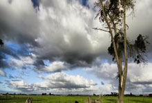 鲸鱼体育官网：[欧冠]小组赛第5轮：马竞VS勒沃库.