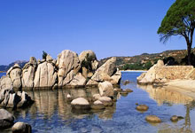 “江苏省体育惠民：推进公园绿地嵌入体育场地，建设体育公园”.